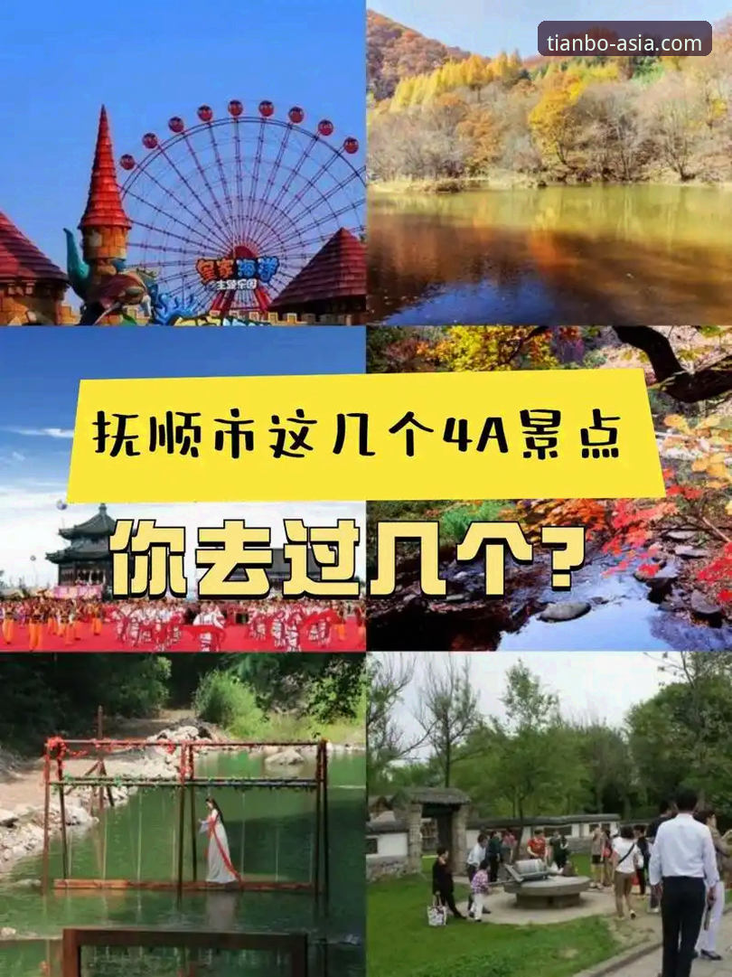天博体育平台一站式服务操作教程：从注册到畅玩的完整指南