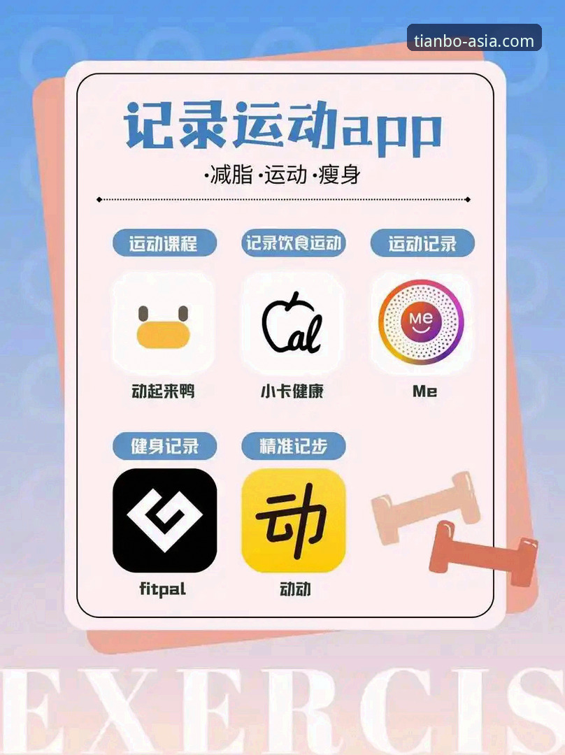 新手如何快速上手天博体育App？这5个步骤帮你省心省力